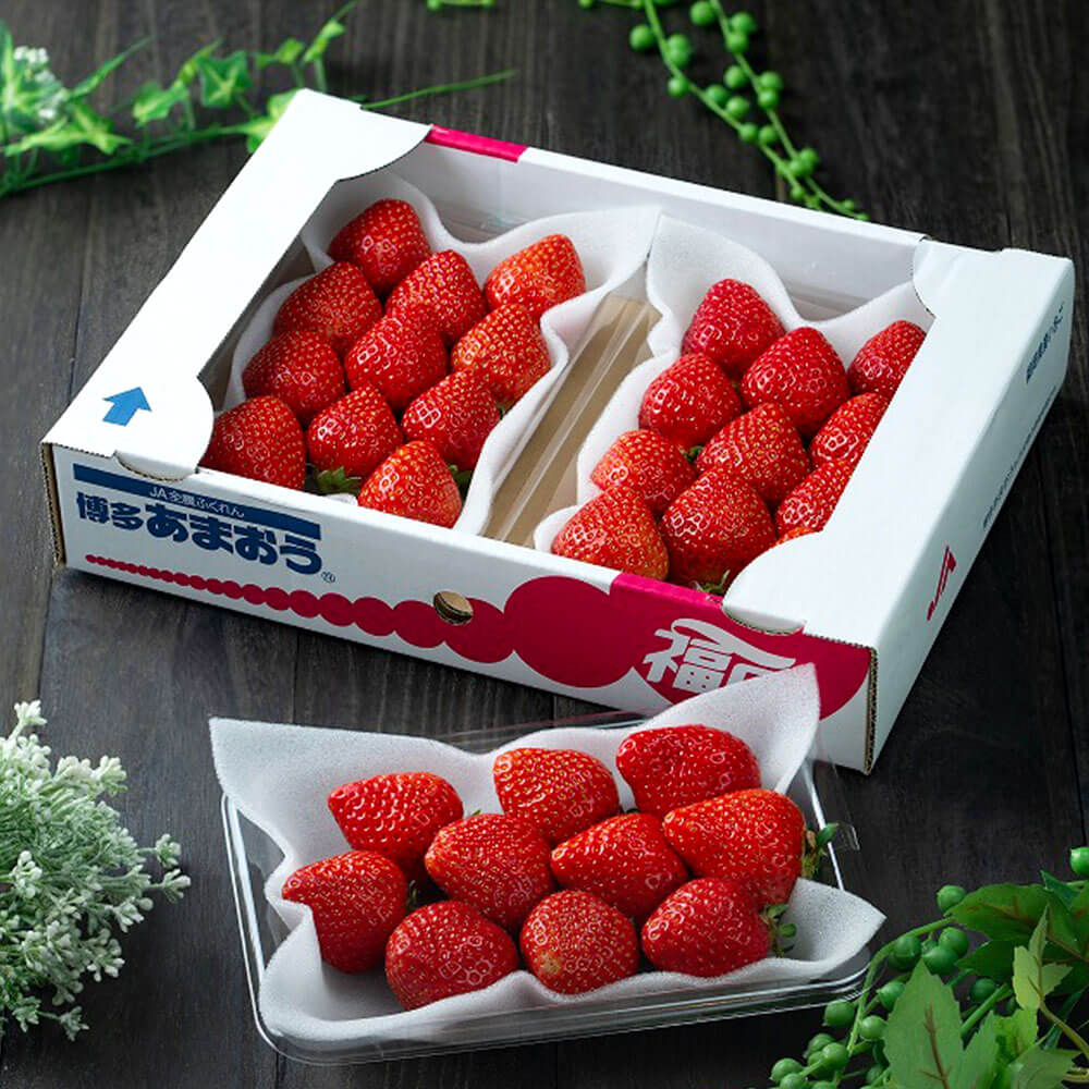 【ふるさと納税】福岡産【春】あまおう 3パック 合計約750g～810g 【2026年2月上旬～3月下旬発送予定】 フルーツ専門店が選んだ 1パックあたり約250g～約270g 予約 いちご 苺 果物 フルーツ 九州産 福岡県産 冷蔵 送料無料 サムネイル3