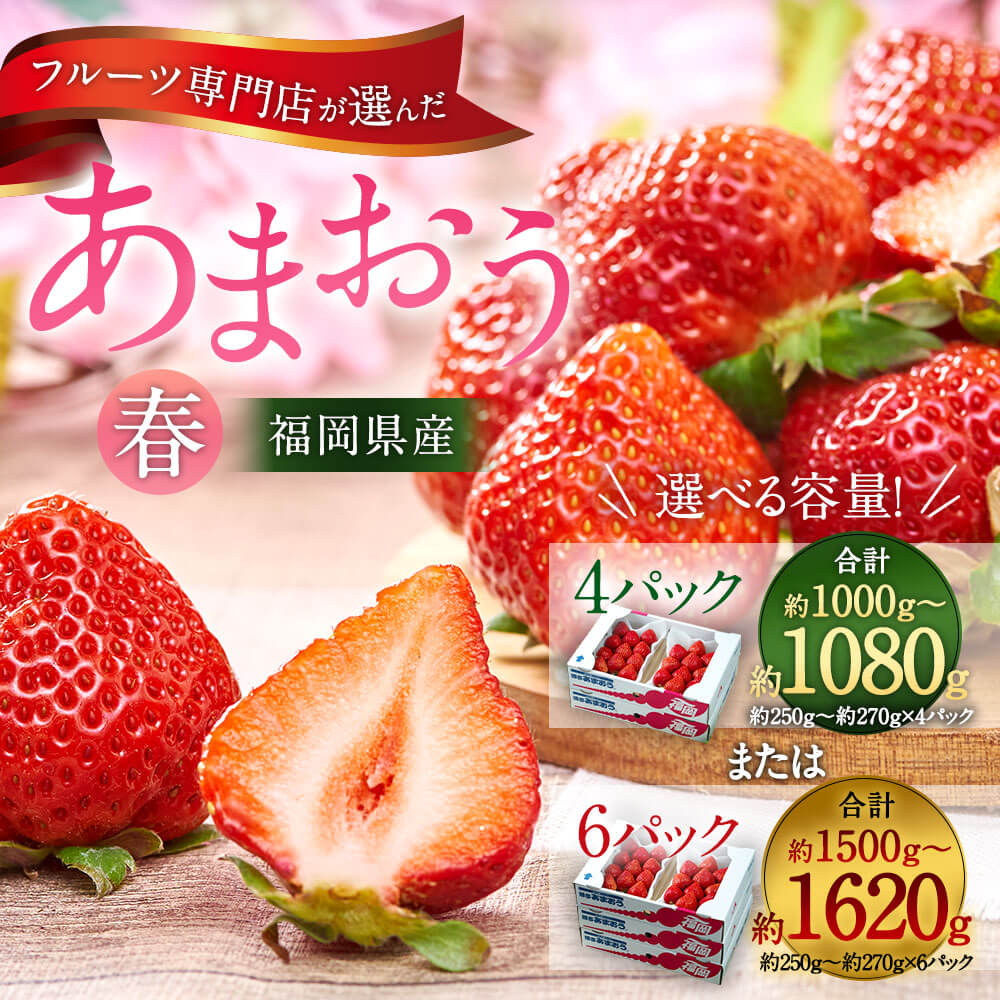 【ふるさと納税】＜選べる容量＞福岡産【春】あまおう 6パック 合計約1500g～1620g または 4パック 合計約1000g～1080g 【2026年2月上旬～3月下旬発送予定】フルーツ専門店が選んだ 1パックあたり約250g～約270g 予約 苺 果物 フルーツ 10000円 ～ 15000円 1万円 ～ 万5000円 サムネイル3