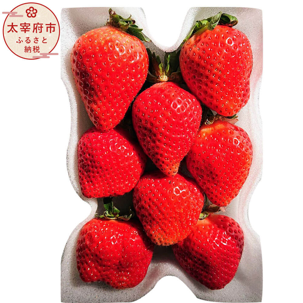 ＜予約＞あまおうボリュームセット 6パック 【2026年2月上旬～4月上旬発送予定】 合計約1500～1620g 約250～270g×6パック G規格 グランデ 1kg以上 あまおう いちご フルーツ 果物 苺 福岡県産 九州産 国産 冷蔵配送 送料無料