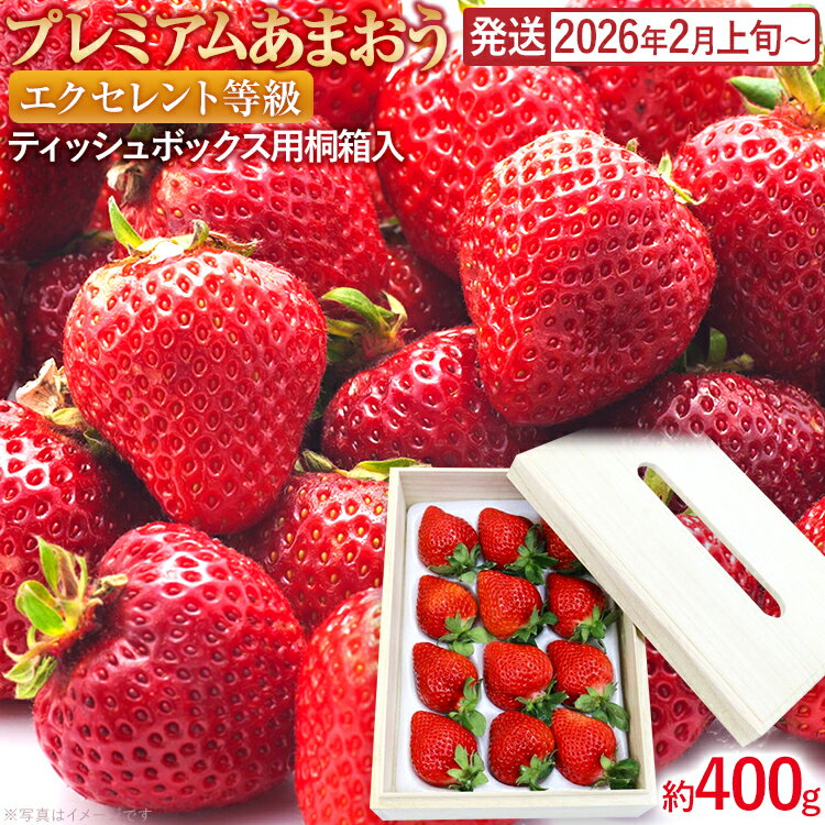 プレミアムあまおうEX (ティッシュボックス用特別仕様の桐箱入り）いちご フルーツ 果物 あまおう 約400g×1パック 福岡 苺 イチゴ 桐箱 【発送時期2026年2月上旬～2026年4月上旬】