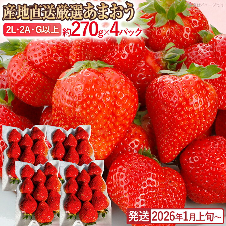 産地直送厳選あまおう 4パックセット（G,2L,2A規格以上）【数量限定】いちご フルーツ 果物 あまおう 約270g×4パック 福岡 苺 イチゴ 【発送時期2026年1月上旬～2026年月4月上旬】