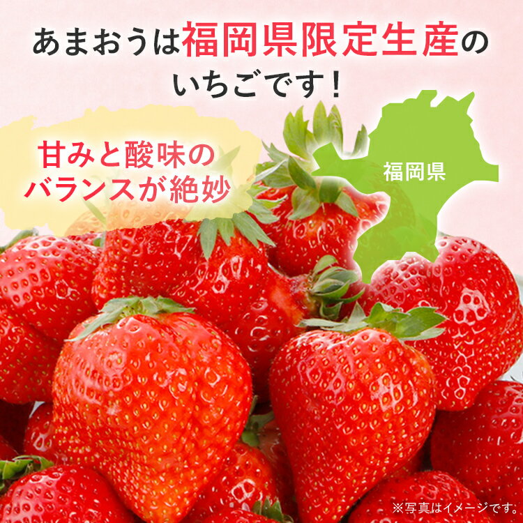 【ふるさと納税】 【2026年2月上旬より順次発送】 あまおうDX 約280g×2パック 約280g×4パック セットが選べる いちご 苺 フルーツ 果物 くだもの 福岡県 福岡 九州 グルメ お取り寄せ サムネイル3