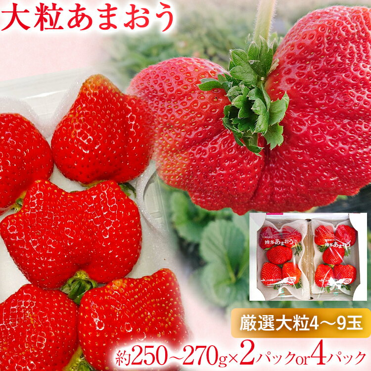 【2026年2月上旬より順次発送】 大粒あまおう 2パック 4パック セットが選べる いちご 苺 フルーツ 果物 くだもの 福岡県 福岡 九州 グルメ お取り寄せ