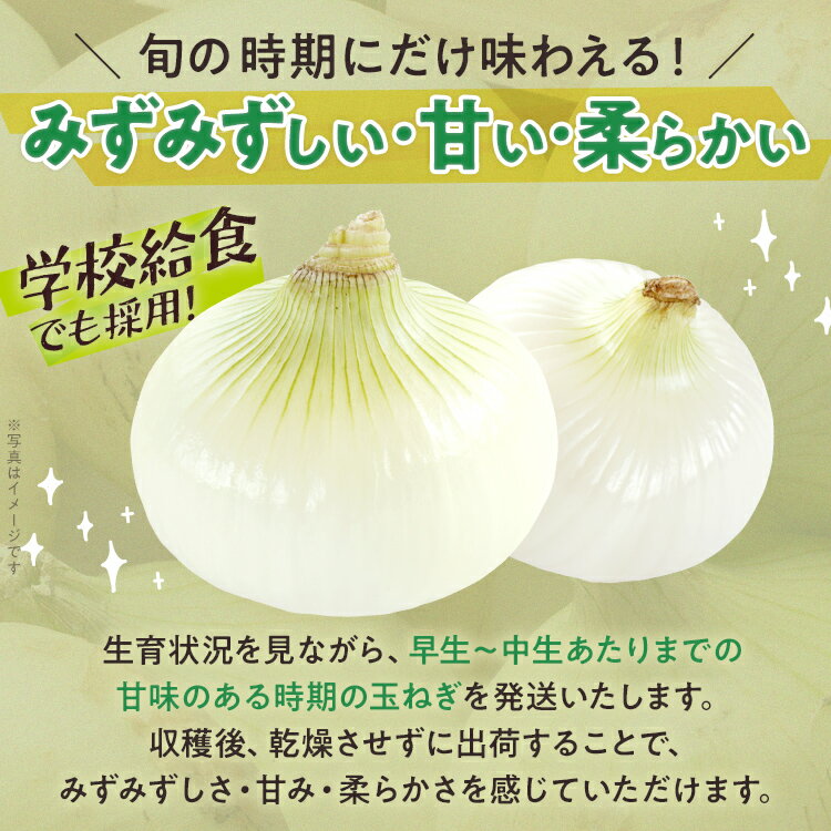 【ふるさと納税】新鮮直送 玉ねぎ 国産 選べる2kg 4kg 古賀市産 野菜 たまねぎ タマネギ 玉葱 みずみずしい 甘い 柔らかい 農家直送 Mサイズ Lサイズ 肉じゃが サラダ 早生 中生 福岡県 福岡 九州 グルメ お取り寄せ【4月下旬〜6月下旬頃に順次発送予定】 - 画像2