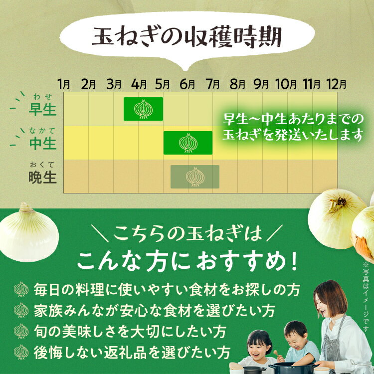 【ふるさと納税】新鮮直送 玉ねぎ 国産 選べる2kg 4kg 古賀市産 野菜 たまねぎ タマネギ 玉葱 みずみずしい 甘い 柔らかい 農家直送 Mサイズ Lサイズ 肉じゃが サラダ 早生 中生 福岡県 福岡 九州 グルメ お取り寄せ【4月下旬〜6月下旬頃に順次発送予定】 - 画像3