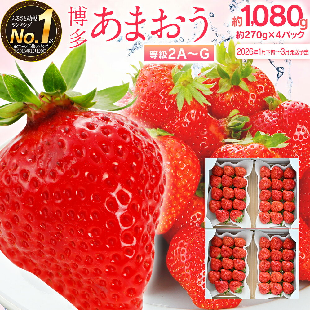 先行予約 あまおう 合計約1,080g 約270g×4パック 楽天ランキング1位獲得 福岡県産 九州 イチゴ いちご 苺 果物 くだもの フルーツ 送料無料【2026年1月下旬～3月順次発送予定】