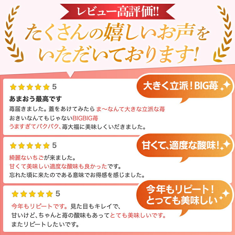 【ふるさと納税】先行予約 あまおう 合計約1,080g 約270g×4パック 楽天ランキング1位獲得 福岡県産 九州 イチゴ いちご 苺 果物 くだもの フルーツ 送料無料【2026年1月下旬～3月順次発送予定】 サムネイル2