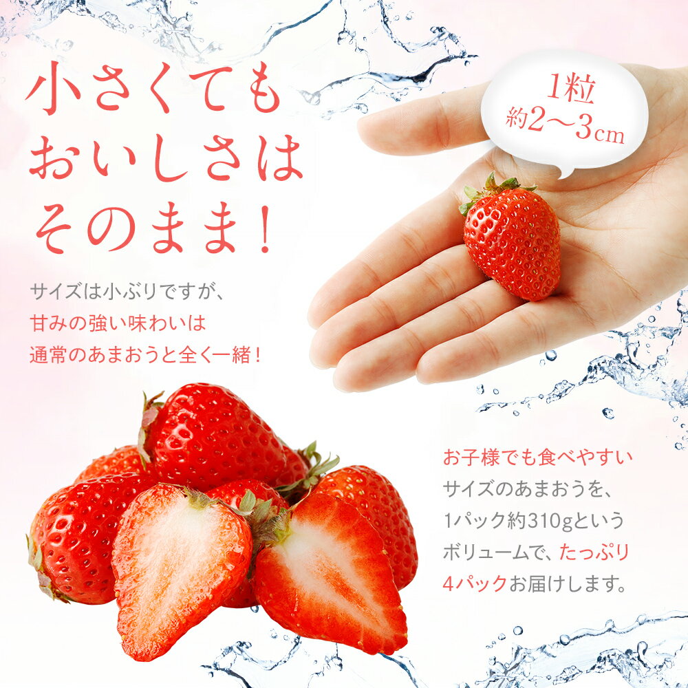 【ふるさと納税】訳あり 小粒あまおう 合計約1240g 約310g×4パック 一口サイズ ご家庭用 福岡県産 九州 イチゴ いちご 苺 果物 くだもの フルーツ 送料無料 ふるさと納税 訳あり 規格外 いちご【2026年2月より順次発送】 サムネイル3
