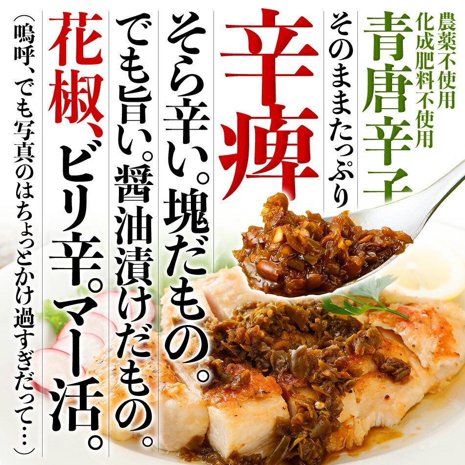 【ふるさと納税】調味料 万能調味料 食べ比べ 食べる唐辛子 青唐辛子 TABERU〜福岡県産青唐辛子と醤油と花椒〜,〜花椒BOOST〜 2個セット 農薬不使用 化成肥料不使用 サムネイル2