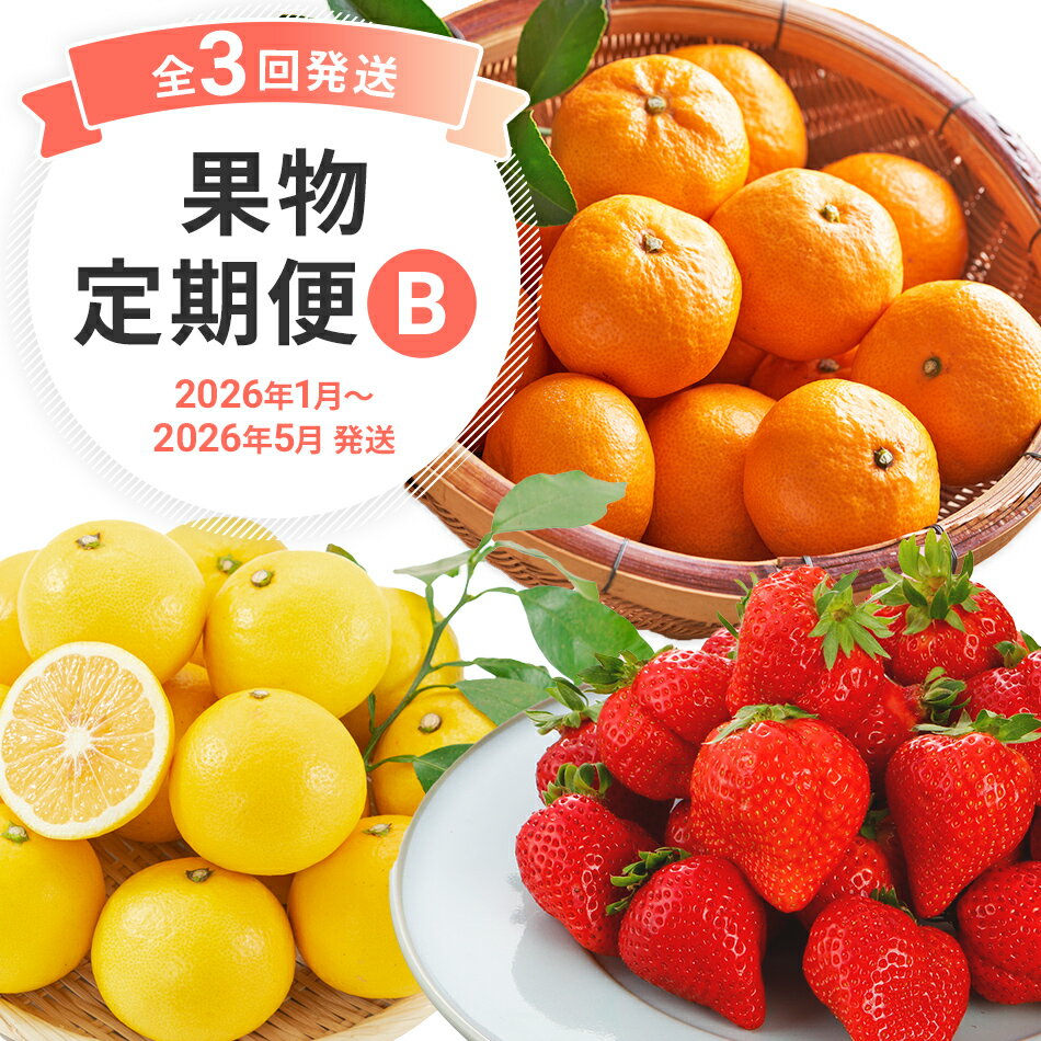定期便 果物定期便B 3回発送 みかん 博多あまおう ニューサマーオレンジ 日向夏 定期発送 果物 くだもの フルーツ 柑橘 イチゴ 送料無料 【2026年1月〜5月まで計3回お届け】