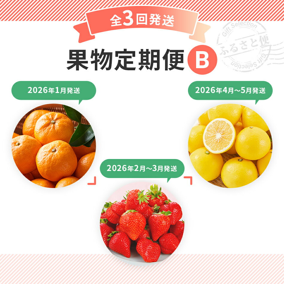 【ふるさと納税】定期便 果物定期便B 3回発送 みかん 博多あまおう ニューサマーオレンジ 日向夏 定期発送 果物 くだもの フルーツ 柑橘 イチゴ 送料無料 【2026年1月〜5月まで計3回お届け】 サムネイル3