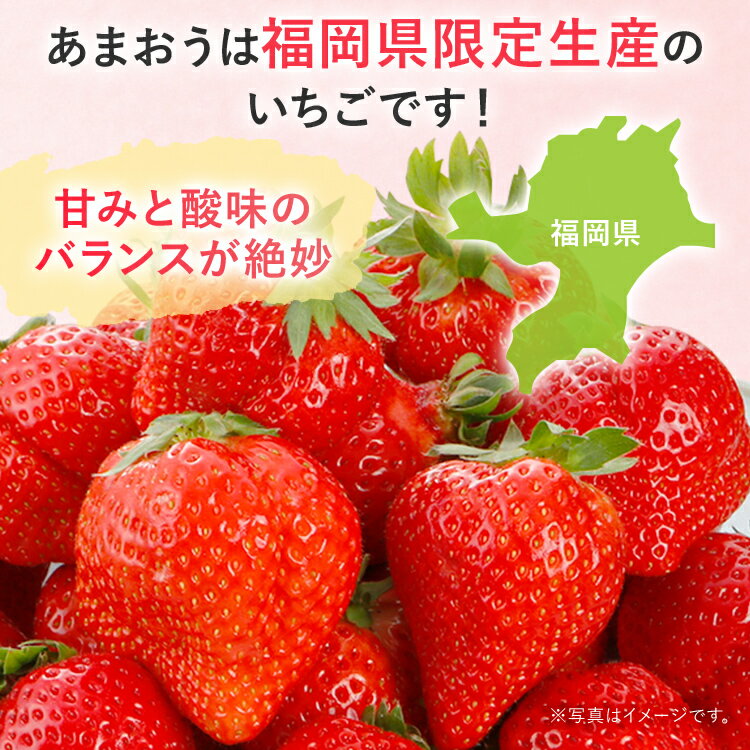 【ふるさと納税】冷凍いちご（あまおう）約1kg ジャム シロップ スムージー 冷凍 イチゴ 苺 あまおう 果物 くだもの フルーツ 冷凍果実 冷凍フルーツ 先行予約 送料無料 サムネイル3