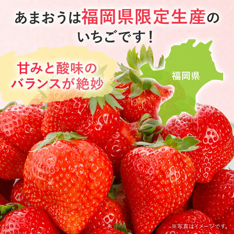 【ふるさと納税】冷凍いちご（あまおう）約1.5kg ジャム シロップ スムージー 冷凍 イチゴ 苺 あまおう 果物 くだもの フルーツ 冷凍果実 冷凍フルーツ 先行予約 送料無料 サムネイル3