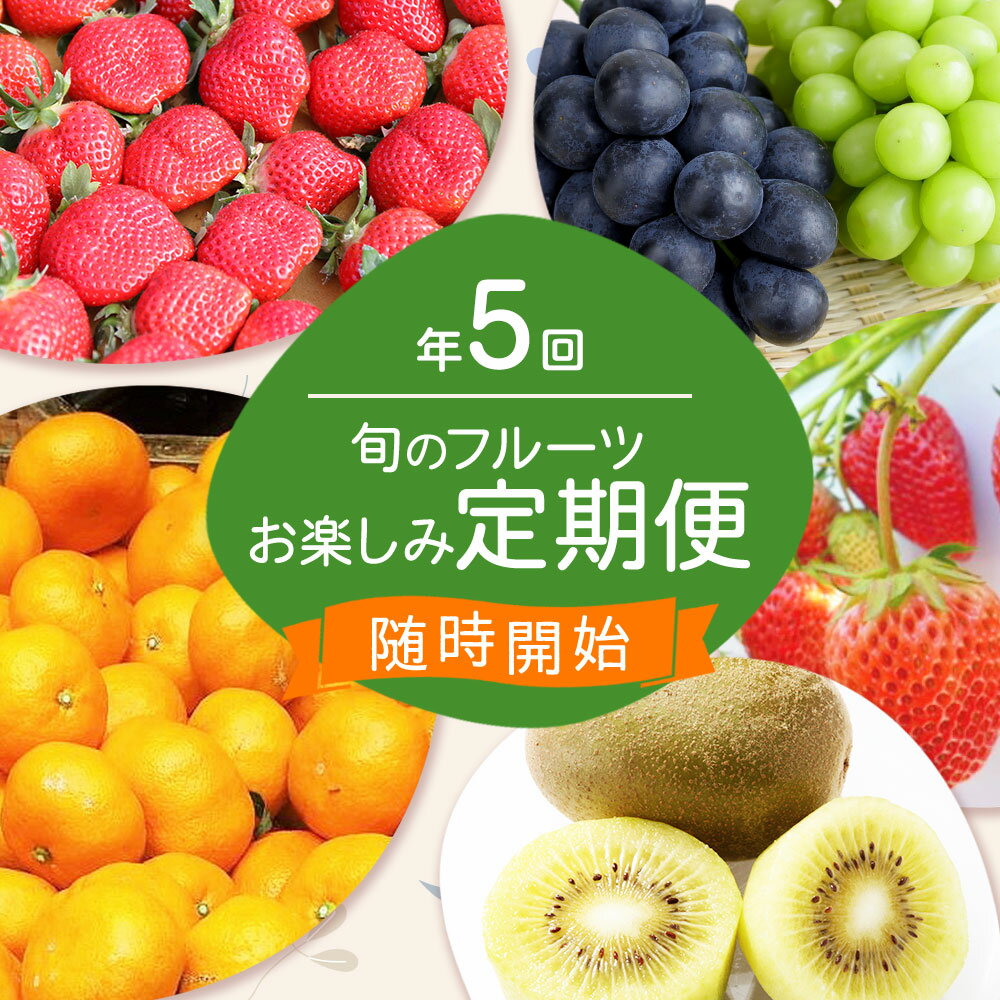 【ふるさと納税】【年5回定期便】 旬のフルーツ定期便 イチゴ シャインマスカット ピオーネ キウイ（甘うぃ） みかん フルーツ 果物 苺 ぶどう くだもの いちご あまおう さちのか 温州みかん 冷蔵 おやつ デザート 送料無料 ［G7032］ サムネイル2
