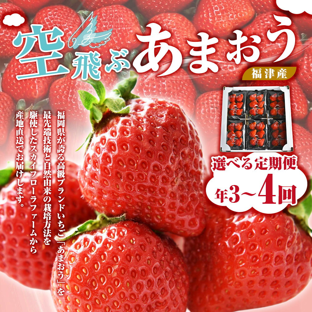 【ふるさと納税】【選べる定期便】 福津産 『空飛ぶあまおう』 約1,080g 定期便【スカイフローラファーム】 4回 ( 2月～5月 ) / 3回 ( 1月～3月 / 2月～4月 / 3月～5月 / 4月～6月 ) あまおう 苺 いちご イチゴ 果物 フルーツ [G7052r][G7053r][G7054r][G7055r][G7056r] サムネイル2