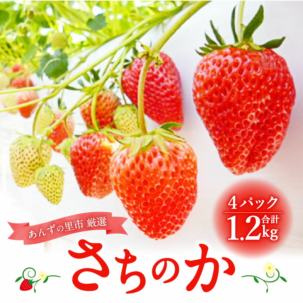 【ふるさと納税】さちのか いちご 300g×4パック 計1.2kg あんずの里 果物 フルーツ イチゴ 苺 九州産 国産 福岡県産 送料無料 【2026年1月より順次発送】[G4127] サムネイル2