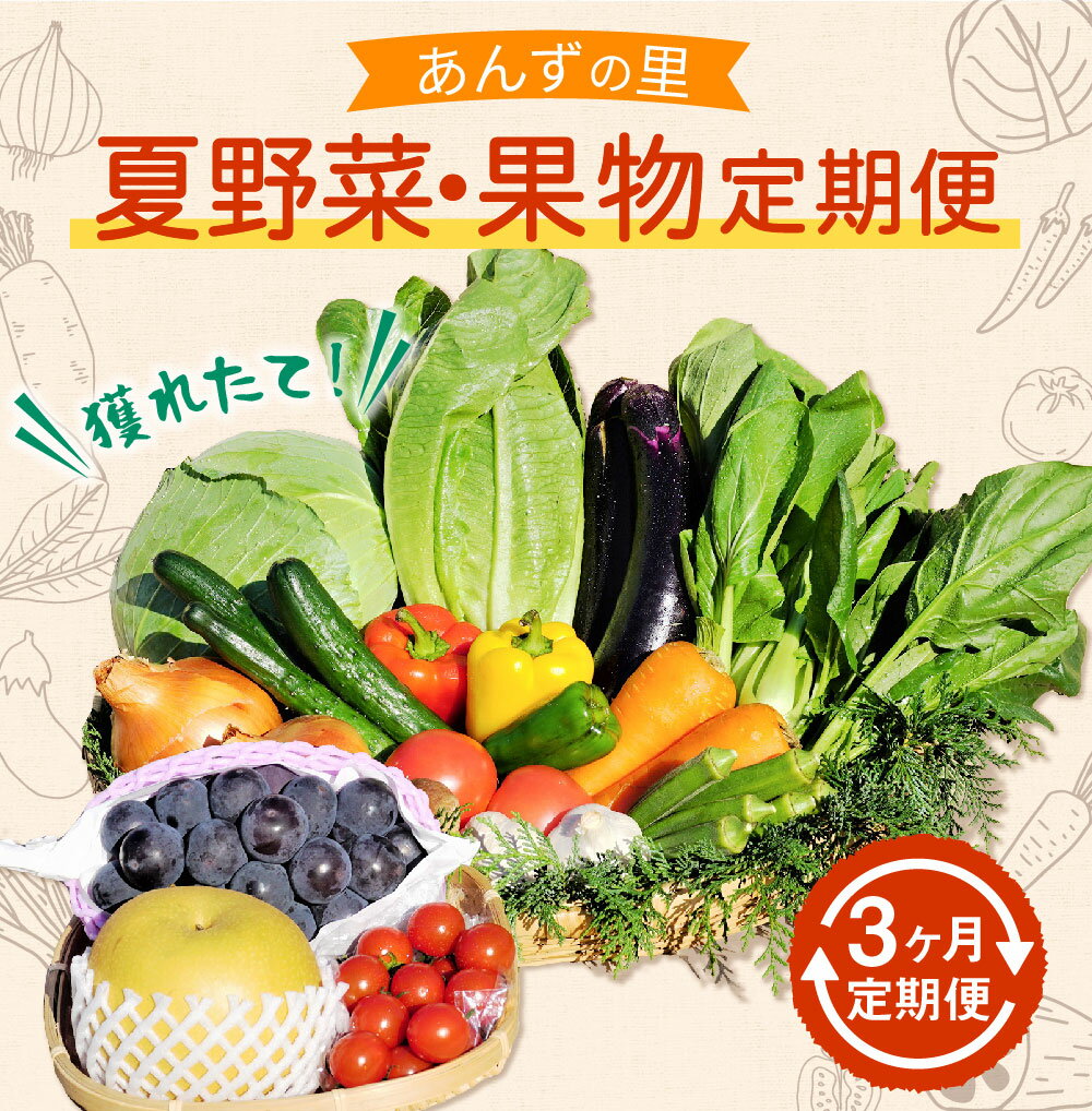 【ふるさと納税】【年3回定期便】穫れたて！ 夏野菜・果物 定期便 あんずの里 計3回(6月・7月・8月) 10品目×3回 野菜 果物 フルーツ 旬 セット 詰め合わせ 福岡県産 九州産 国産 送料無料 ［G7006］ サムネイル2
