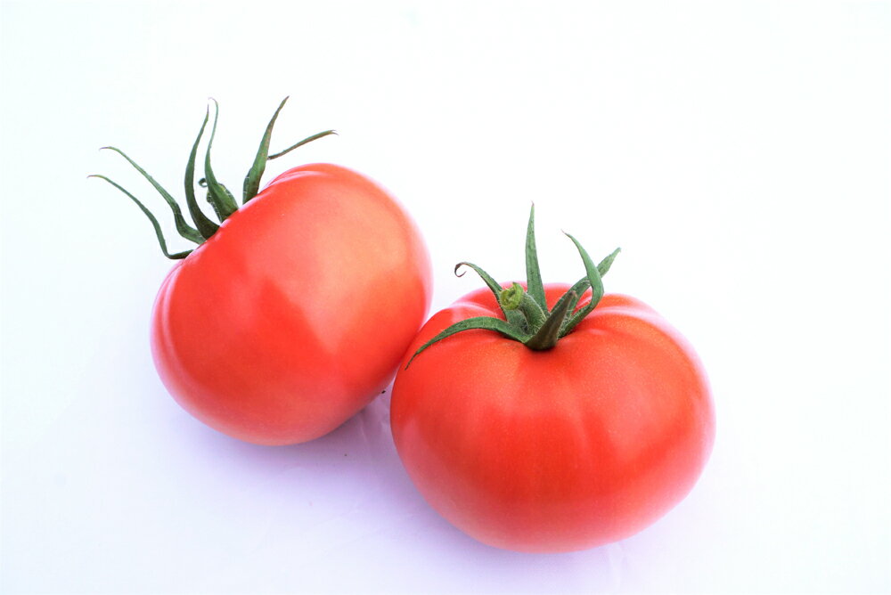 【ふるさと納税】福津産 桃太郎 トマト 2箱セット あんずの里 1箱11～12個入 合計約22～24個 箱詰め とまと 野菜 生野菜 冷蔵 春 旬 福岡県産 九州 送料無料【2025年11月～2026年5月発送】 [G0043] - 画像3