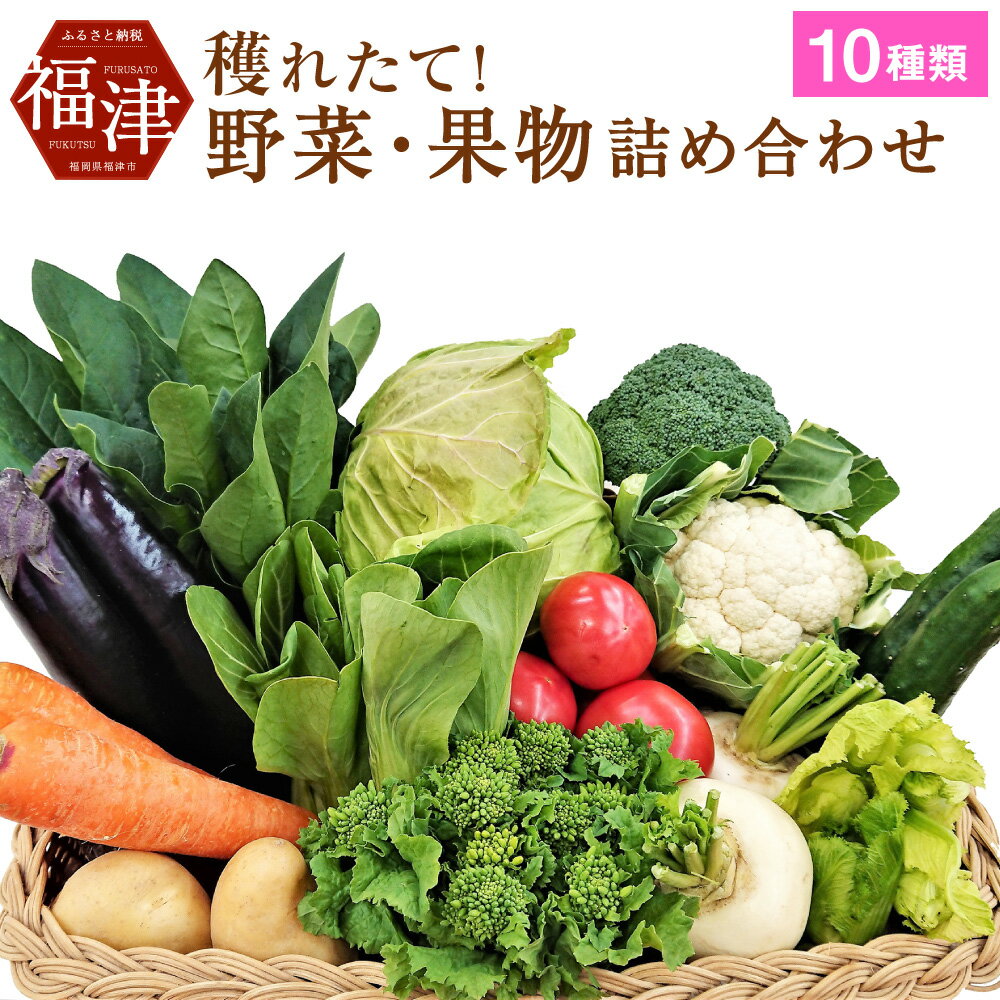 穫れたて！ 野菜・果物詰め合わせ 10品目 あんずの里 野菜 果物 フルーツ セット 詰め合わせ 春 旬 福岡県産 九州産 国産 送料無料 [G0042]