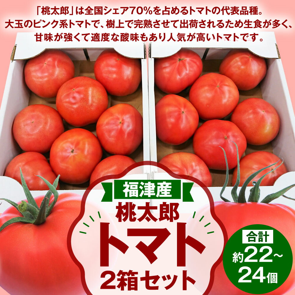 【ふるさと納税】福津産 桃太郎 トマト 2箱セット あんずの里 1箱11～12個入 合計約22～24個 箱詰め とまと 野菜 生野菜 冷蔵 春 旬 福岡県産 九州 送料無料【2025年11月～2026年5月発送】 [G0043] - 画像2