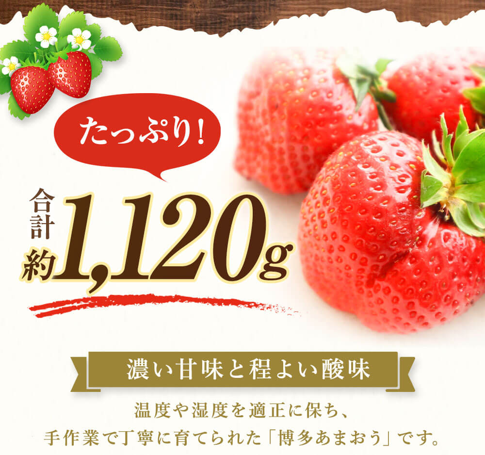 【ふるさと納税】博多あまおう 約280×4パック 約1120g 国産 九州 福岡県産 イチゴ いちご 苺 果物 くだもの フルーツ 予約 送料無料【2026年2月より順次発送】[G2243] サムネイル3