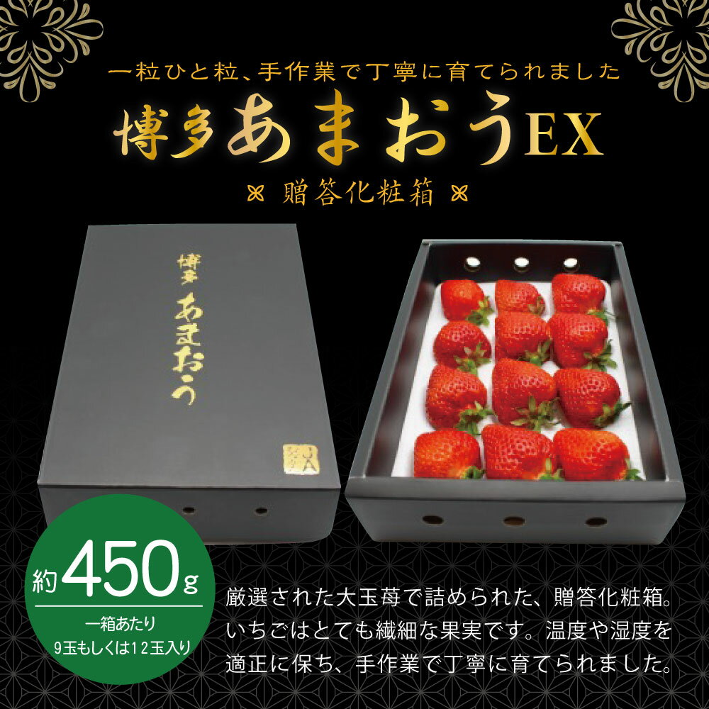 【ふるさと納税】博多 あまおう EX 贈答化粧箱入 約450g×1箱 イチゴ いちご 苺 果物 くだもの フルーツ 大玉 福岡県産 九州 国産 冷蔵 送料無料【2025年12月発送】[G2247] サムネイル2