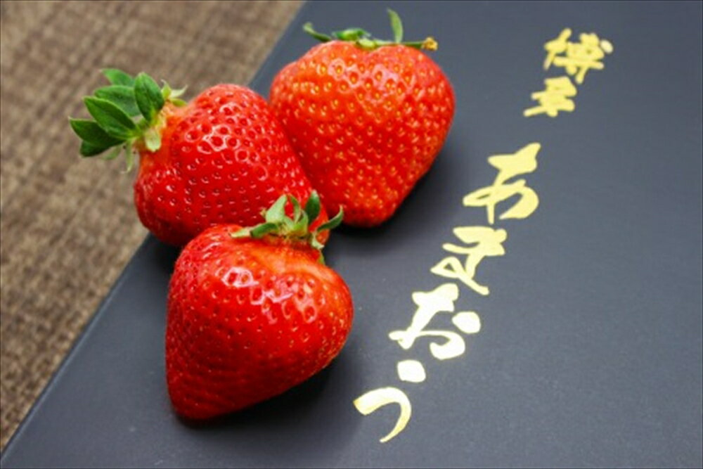 【ふるさと納税】博多 あまおう EX 贈答化粧箱入 約450g×2箱 合計約900g 国産 九州 福岡県産 イチゴ いちご 苺 果物 くだもの フルーツ 大玉 贈答品 予約 送料無料【2026年1月以降発送】[G2250] サムネイル3