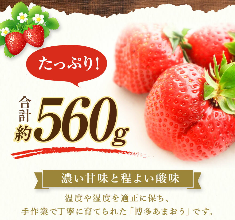 【ふるさと納税】博多あまおう 約280×2パック 約560g 国産 九州 福岡県産 イチゴ いちご 苺 果物 くだもの フルーツ 予約 送料無料【2026年3月下旬より順次発送】先行予約 令和8年産 受付開始 [G2211a] サムネイル3