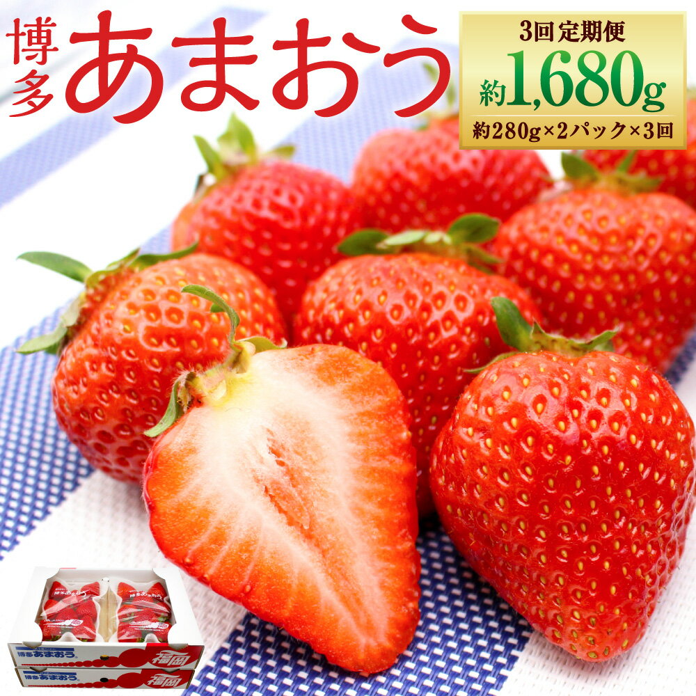 【年3回定期便】 博多あまおう 2パック 約560g×3回 合計約1680g 国産 九州 福岡県産 イチゴ いちご 苺 果物 くだもの フルーツ 予約 送料無料 【2026年2～4月発送】 [G5352a]