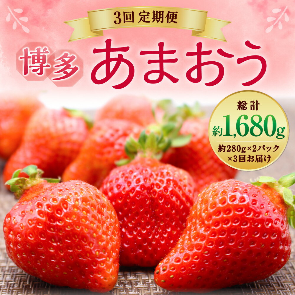 【ふるさと納税】【年3回定期便】 博多あまおう 2パック 約560g×3回 合計約1680g 国産 九州 福岡県産 イチゴ いちご 苺 果物 くだもの フルーツ 予約 送料無料 【2026年2～4月発送】 [G5352a] サムネイル2