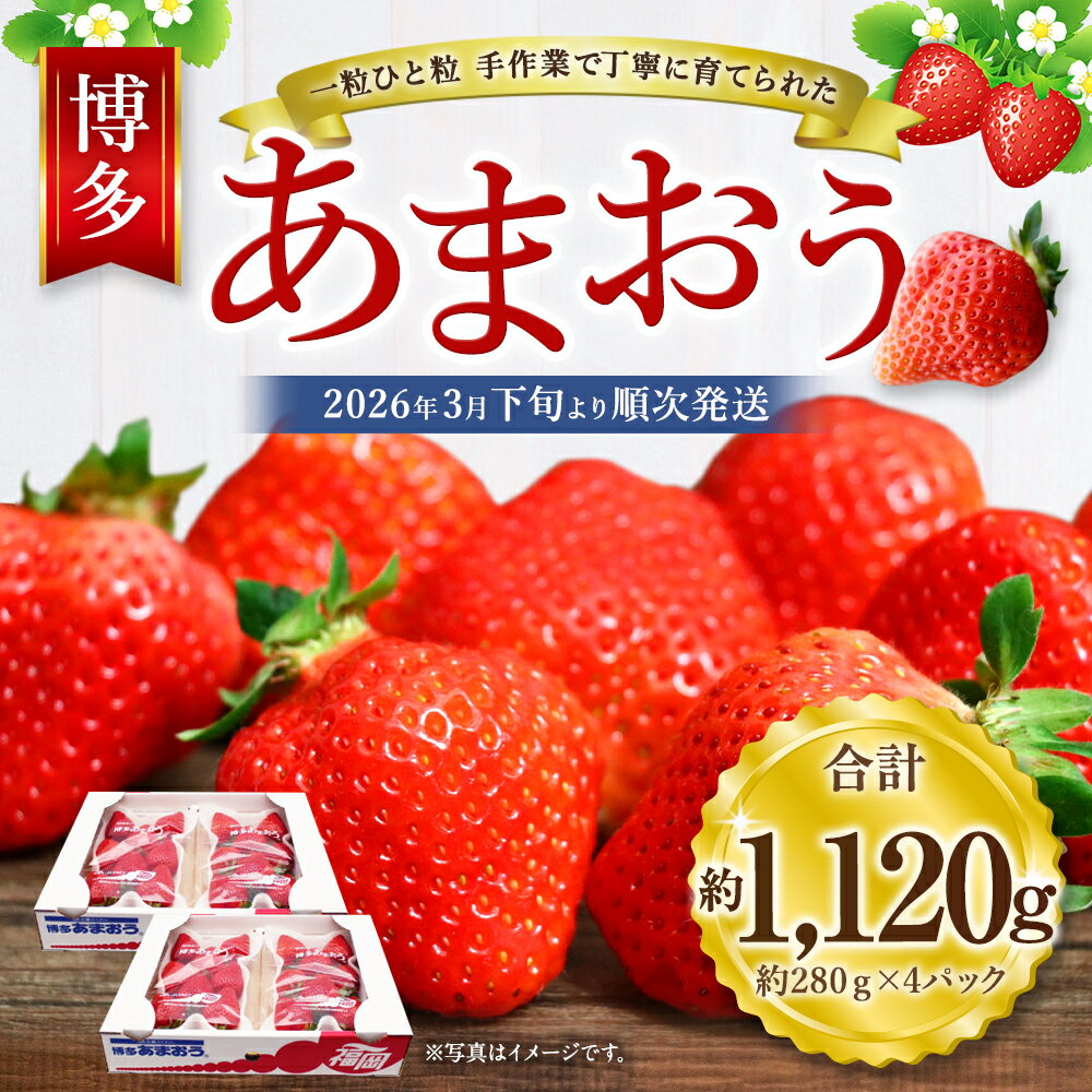 【ふるさと納税】博多あまおう 約280×4パック 約1120g 国産 九州 福岡県産 イチゴ いちご 苺 果物 くだもの フルーツ 予約 送料無料【2026年3月下旬より順次発送】先行予約 令和8年産 受付開始[G2213a] サムネイル2