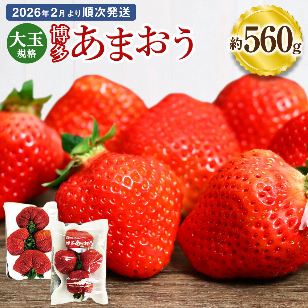 大玉規格 博多あまおう 約280×2パック 約560g 国産 九州 福岡県産 イチゴ いちご 苺 果物 くだもの フルーツ 予約 送料無料【2026年2月より順次発送】[G2224]