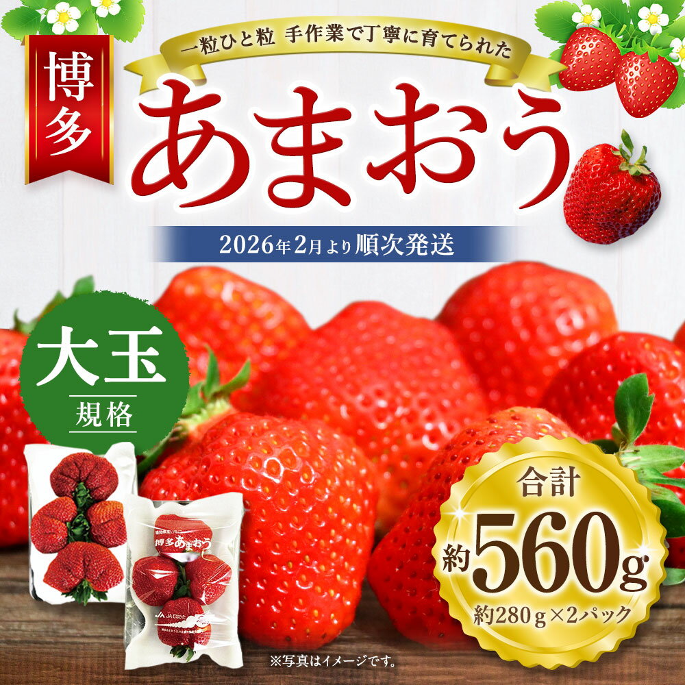 【ふるさと納税】大玉規格 博多あまおう 約280×2パック 約560g 国産 九州 福岡県産 イチゴ いちご 苺 果物 くだもの フルーツ 予約 送料無料【2026年2月より順次発送】[G2224] サムネイル2