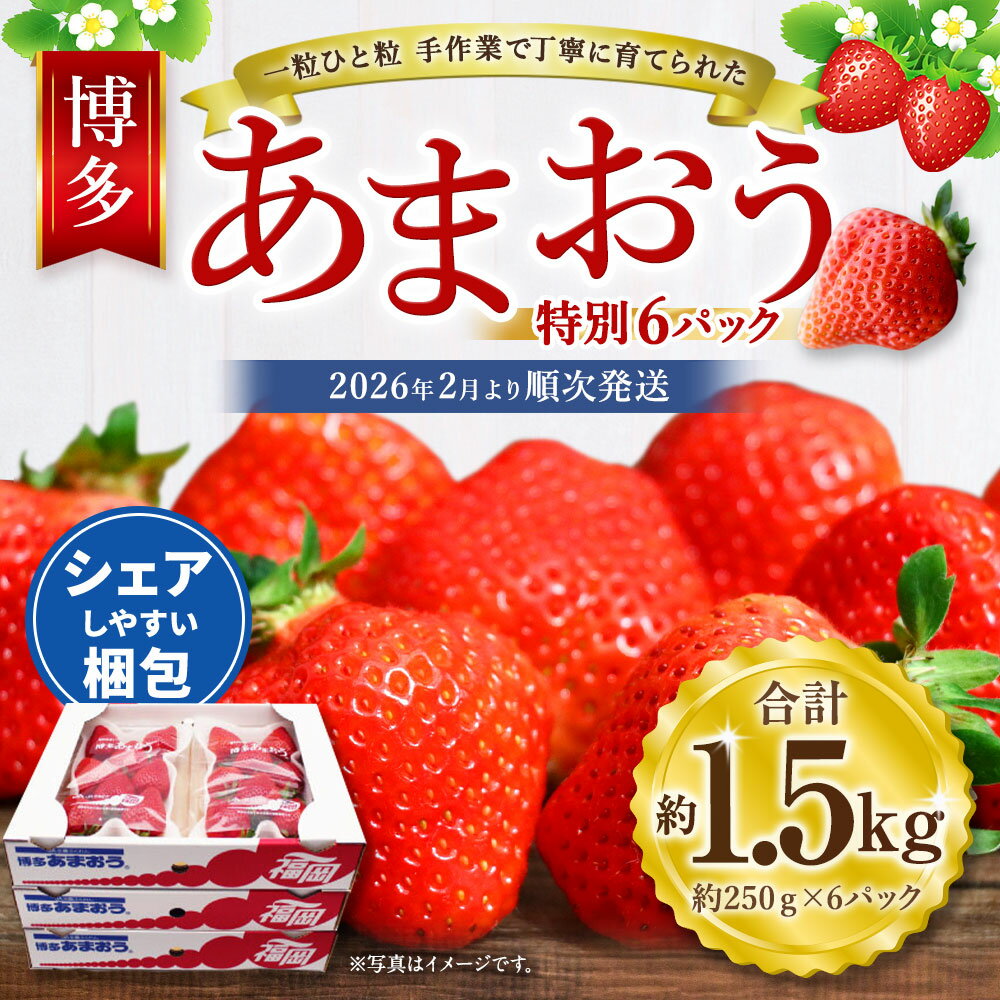 【ふるさと納税】博多 あまおう 特別 6パック 合計約1.5kg 1パックあたり 約250g 4〜12玉 いちご 苺 イチゴ 福岡県 福津市 宗像市 フルーツ 果物 くだもの 果実 冷蔵 送料無料【2026年2月より順次発送】[G2245] サムネイル2