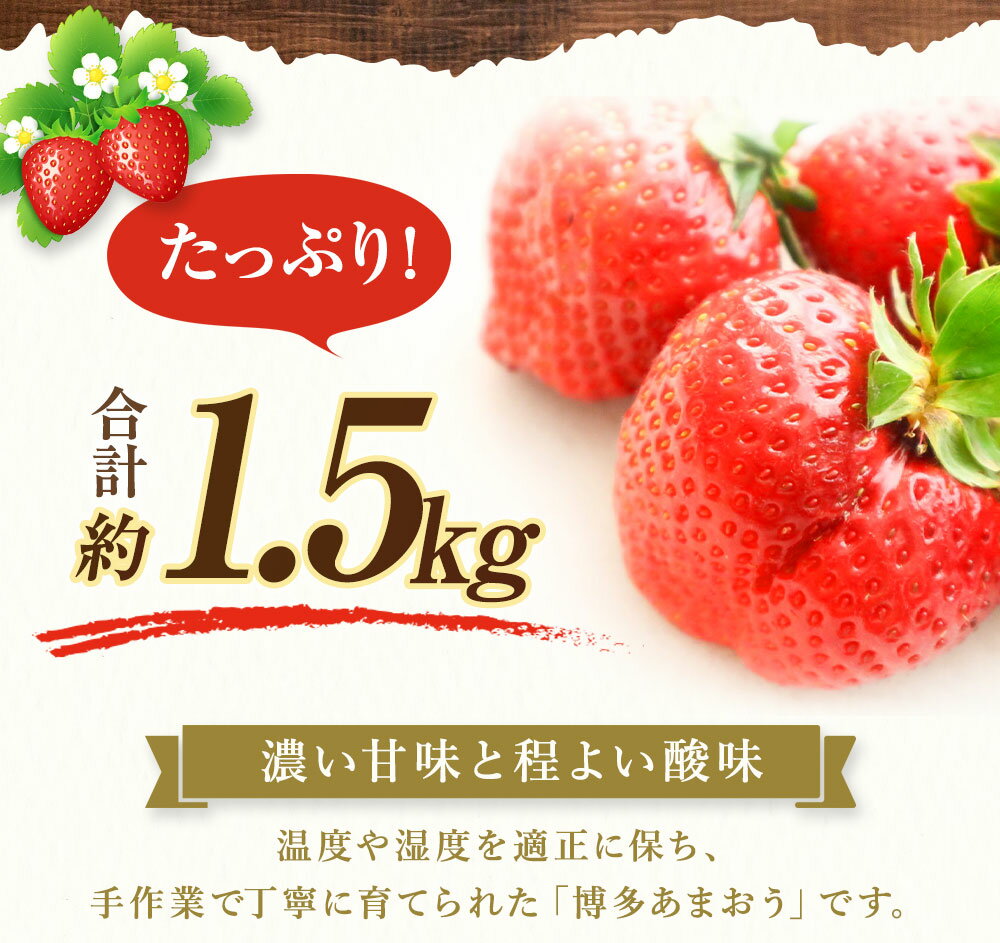 【ふるさと納税】博多 あまおう 特別 6パック 合計約1.5kg 1パックあたり 約250g 4〜12玉 いちご 苺 イチゴ 福岡県 福津市 宗像市 フルーツ 果物 くだもの 果実 冷蔵 送料無料【2026年2月より順次発送】[G2245] サムネイル3