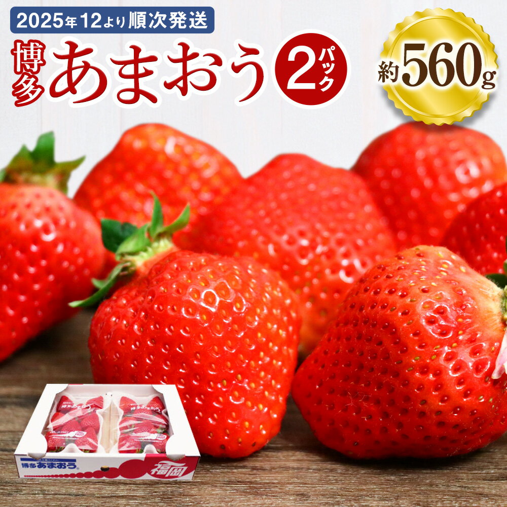 博多あまおう 約280×2パック 約560g 国産 九州 福岡県産 イチゴ いちご 苺 果物 くだもの フルーツ 予約 送料無料【2025年12月発送】[G2260]