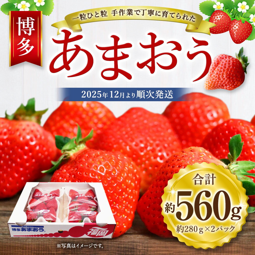 【ふるさと納税】博多あまおう 約280×2パック 約560g 国産 九州 福岡県産 イチゴ いちご 苺 果物 くだもの フルーツ 予約 送料無料【2025年12月発送】[G2260] サムネイル2