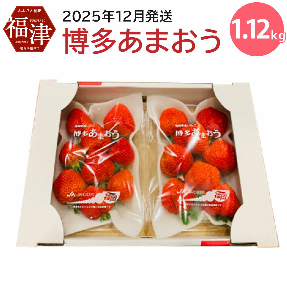 博多あまおう 約280×4パック 約1120g 国産 九州 福岡県産 イチゴ いちご 苺 果物 くだもの フルーツ 予約 送料無料【2025年12月発送】[G2261]