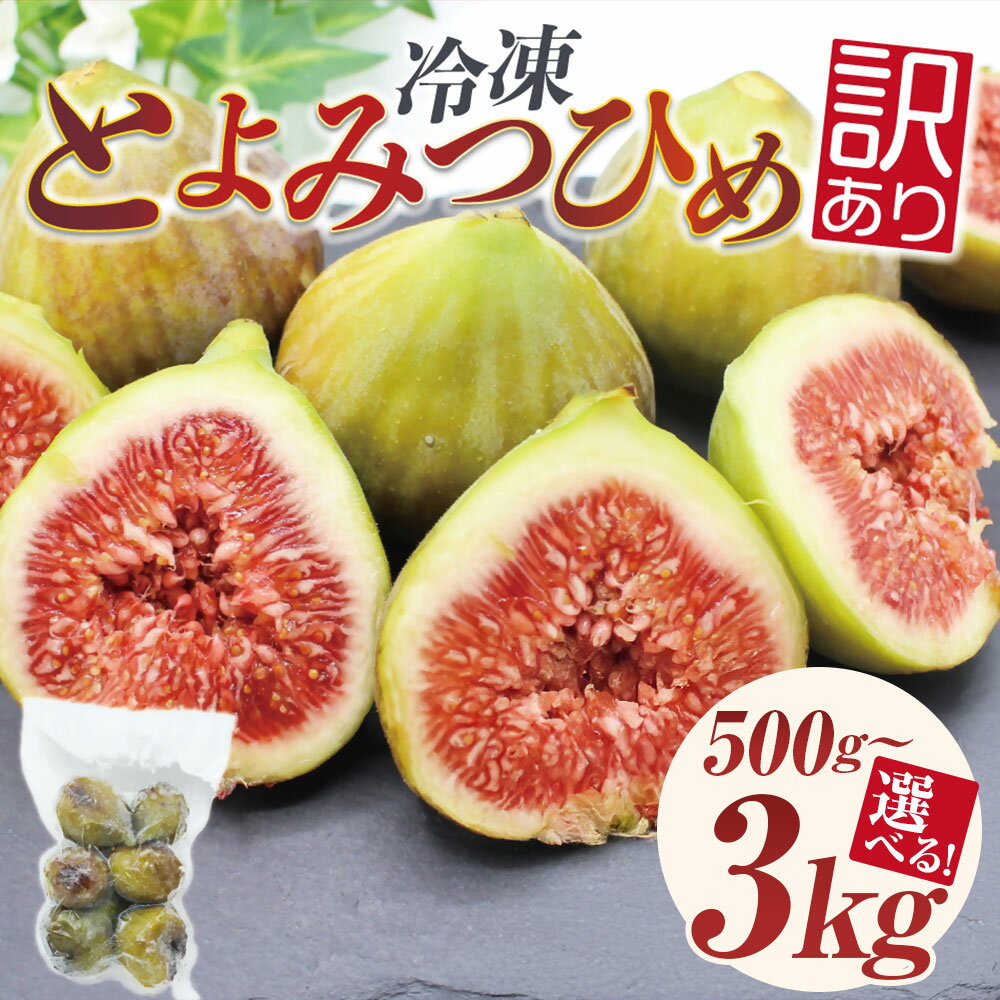 【ふるさと納税】【選べる容量】福岡県産 いちじく「とよみつひめ」 計500g 計1kg 計2kg 計3kg イチジク 無花果 くだもの 果物 果実 フルーツ 訳あり 訳アリ 訳あり品 真空パック シャーベット 冷凍 国産 九州 福岡県 福津市 送料無料 [G2325][G2326][G2327][G2328] サムネイル2