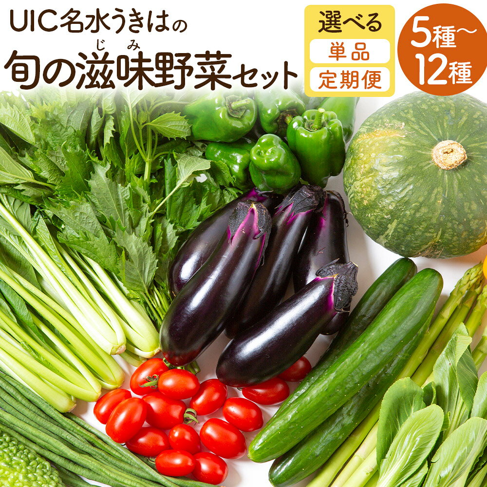 【選べる種類】UIC 名水うきは 旬の滋味（じみ）野菜セット 野菜 定期便 詰め合わせ 野菜詰め合わせ 冷蔵 送料無料 福岡県 うきは市