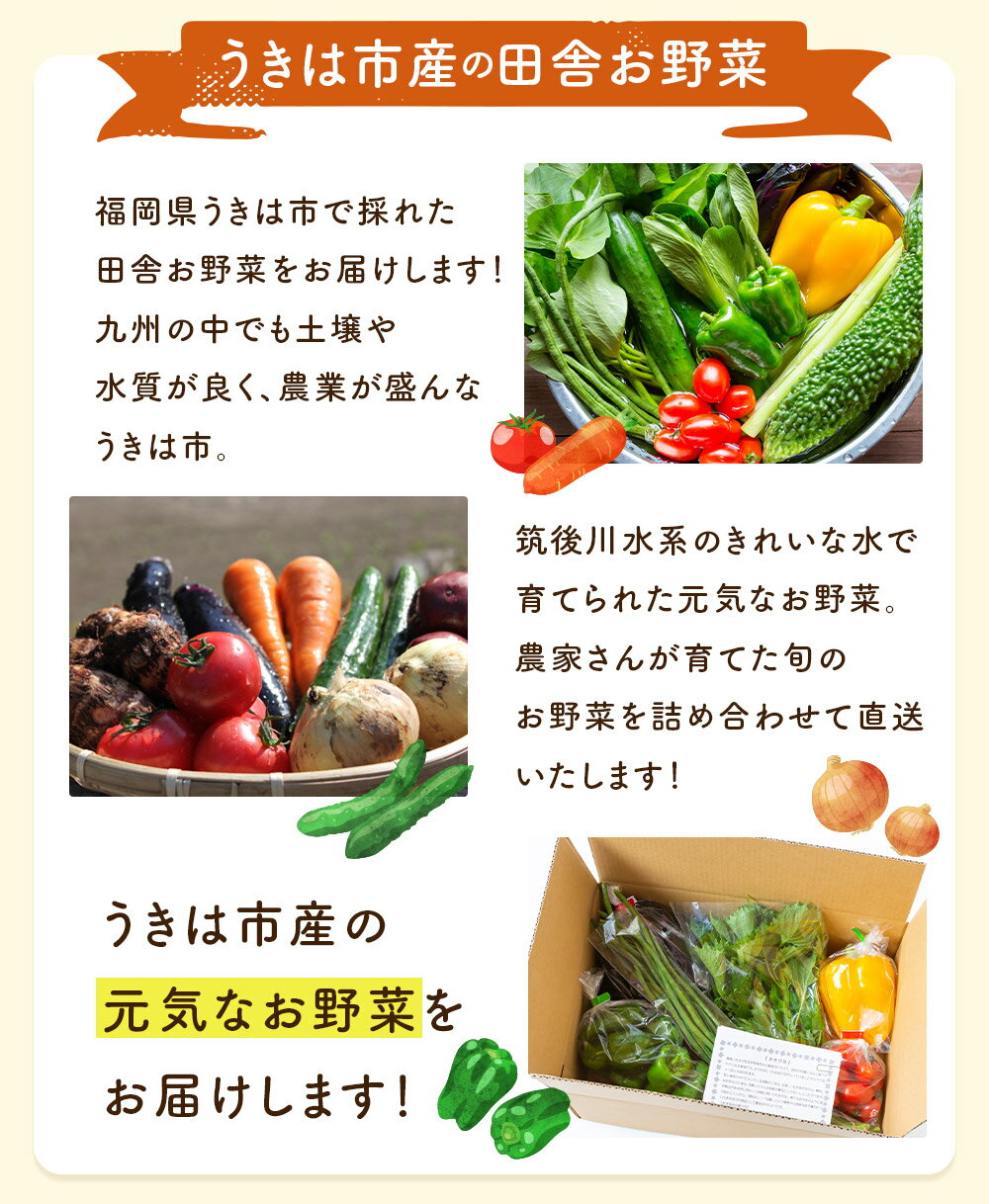 【ふるさと納税】【選べる種類】UIC 名水うきは 旬の滋味（じみ）野菜セット 野菜 定期便 詰め合わせ 野菜詰め合わせ 冷蔵 送料無料 福岡県 うきは市 - 画像3