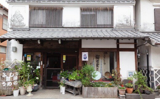 【ふるさと納税】 梅廼家醸造場 ヨシイ醤油 (こいくち醤油：寿2本・松3本、うすくち醤油1本) 各1L×6本セット おさしみ醤油 刺し身醤油 料理 しょうゆ お醤油 調味料 濃い口 薄口 送料無料 福岡県 うきは市 サムネイル3