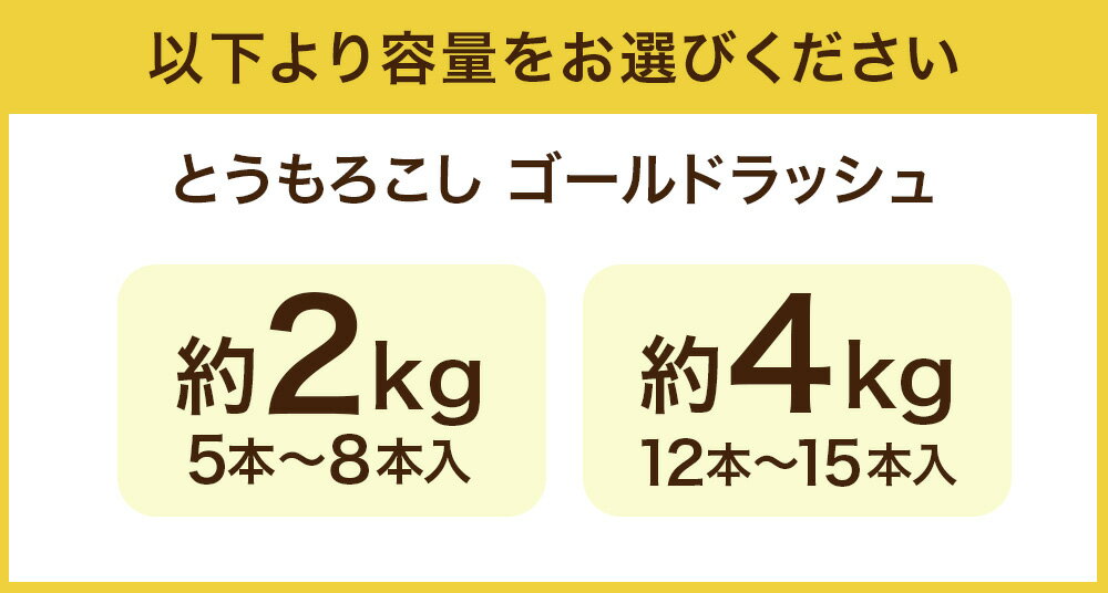 【ふるさと納税】＜選べる内容量＞とうもろこし ゴールドラッシュ 5本～8本入（約2kg） / 12本～15本入（約4kg） トウモロコシ フルーツコーン 野菜 やさい 冷蔵 福岡県産 国産 九州 福岡県 うきは市 送料無料 【2026年5月下旬～6月下旬発送予定】 - 画像3