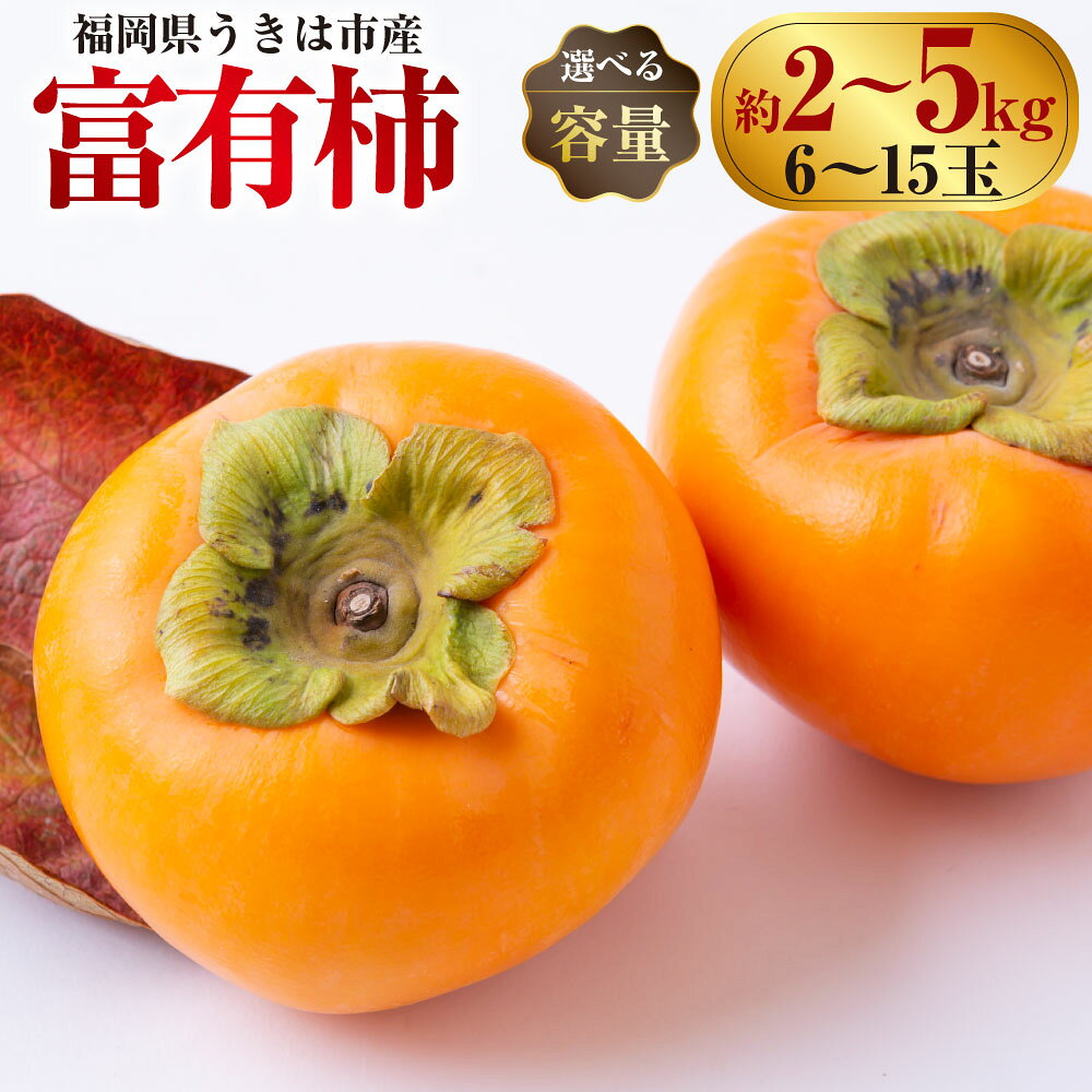 〈選べる容量〉西見柿農園 富有柿 6玉から8玉・9玉から11玉・12玉から15玉 2025年11月下旬から12月上旬 9000円 ～14000円 9000円 ～ 1万4000円 出荷予定 柿 かき カキ フルーツ 果実 果物 常温 送料無料 福岡県 うきは市