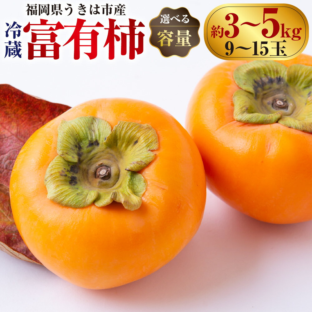 〈選べる容量〉西見柿農園 冷蔵富有柿 9玉から11玉・12玉から15玉 2025年12月中旬から2026年1月下旬 出荷予定 柿 かき カキ フルーツ 果実 果物 冷蔵 送料無料 福岡県 うきは市