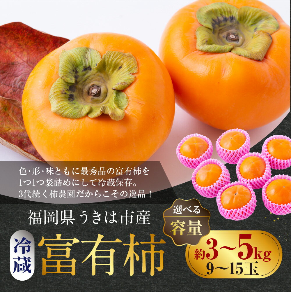 【ふるさと納税】〈選べる容量〉西見柿農園 冷蔵富有柿 9玉から11玉・12玉から15玉 2025年12月中旬から2026年1月下旬 出荷予定 柿 かき カキ フルーツ 果実 果物 冷蔵 送料無料 福岡県 うきは市 サムネイル2