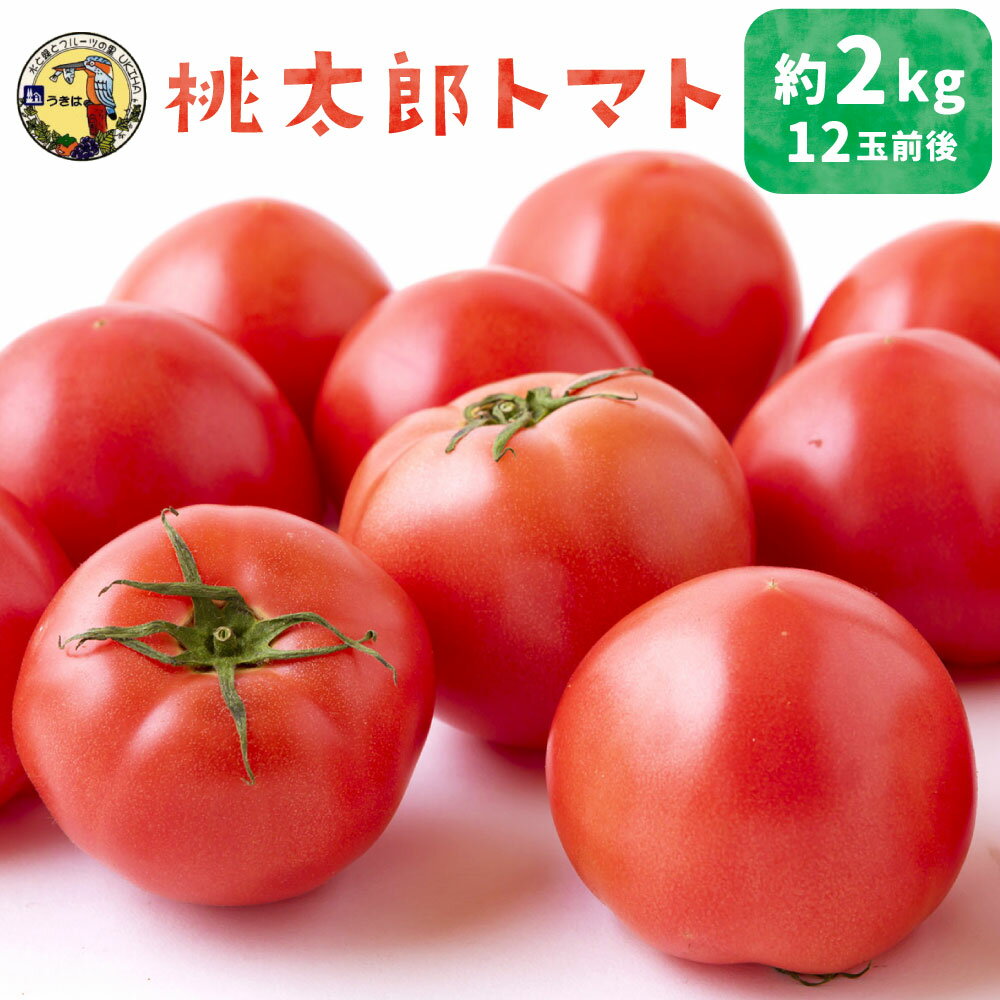 道の駅うきは 桃太郎トマト 12玉前後 (約2kg) 【2025年11月上旬から2026年5月上旬 出荷予定】 トマト とまと ももたろうトマト 大玉トマト 野菜 ベジタブル 新鮮 フレッシュ お取り寄せ 福岡県 うきは市