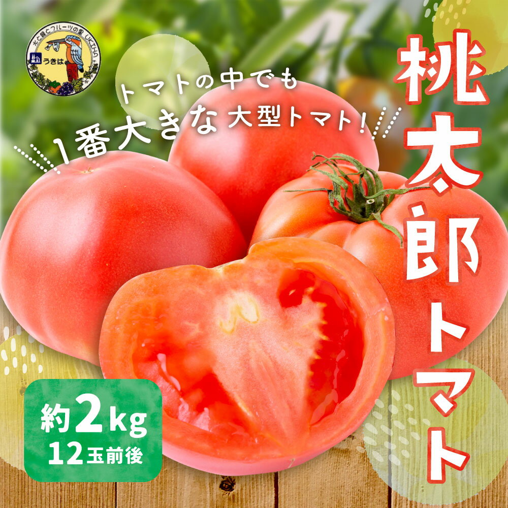 【ふるさと納税】 道の駅うきは 桃太郎トマト 12玉前後 (約2kg) 【2025年11月上旬から2026年5月上旬 出荷予定】 トマト とまと ももたろうトマト 大玉トマト 野菜 ベジタブル 新鮮 フレッシュ お取り寄せ 福岡県 うきは市 サムネイル2