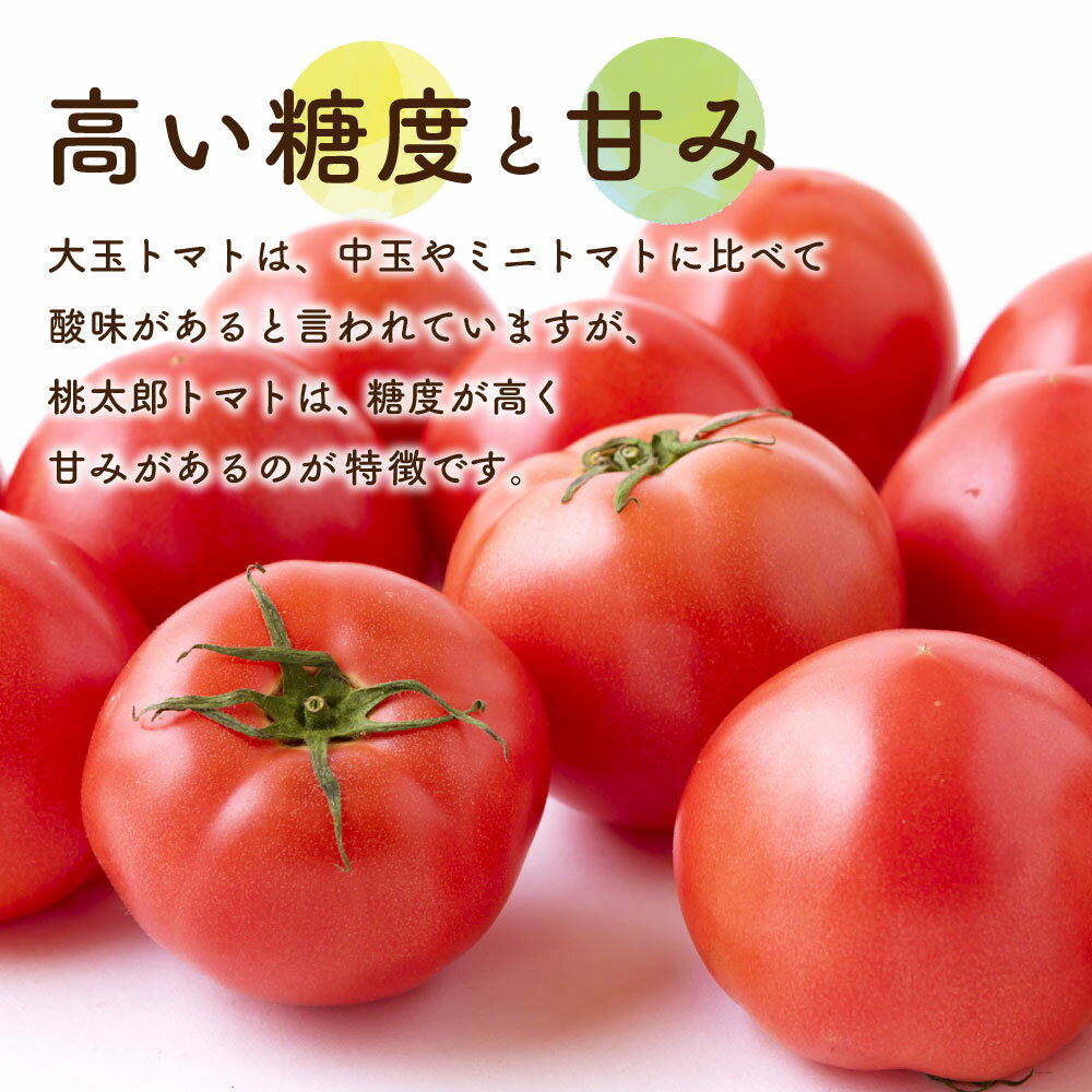 【ふるさと納税】 道の駅うきは 桃太郎トマト 12玉前後 (約2kg) 【2025年11月上旬から2026年5月上旬 出荷予定】 トマト とまと ももたろうトマト 大玉トマト 野菜 ベジタブル 新鮮 フレッシュ お取り寄せ 福岡県 うきは市 サムネイル3