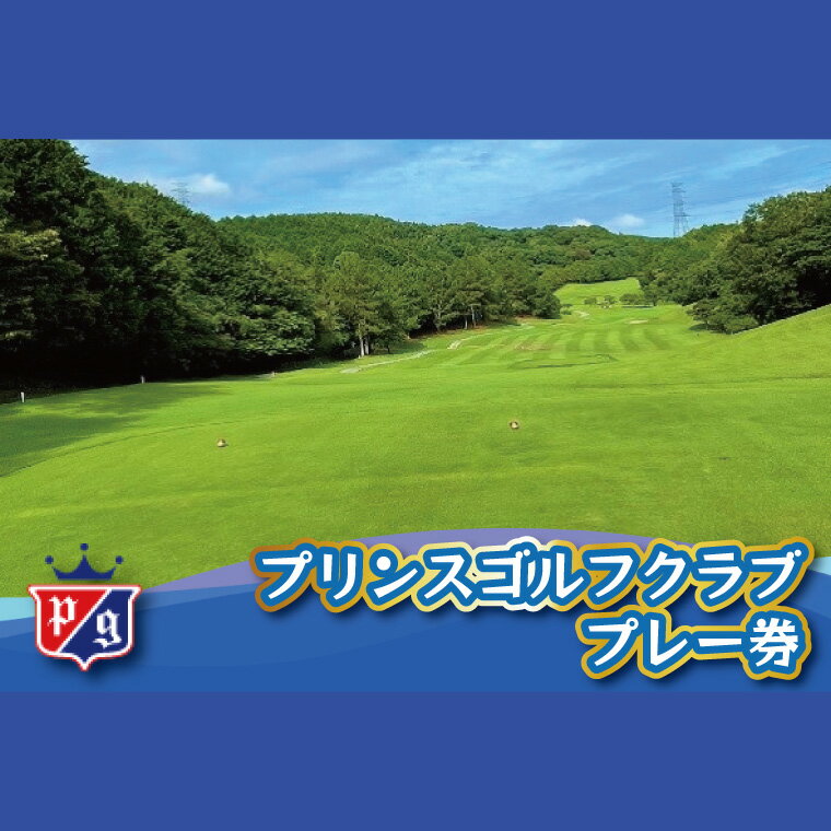 ゴルフ ゴルフ場 ゴルフ利用券 プリンスゴルフクラブ 5,000円分×6枚 合計30,000円分 利用券 プレー チケット 誕生日プレゼント 父の日 宮若市 福岡県 送料無料 M822-100